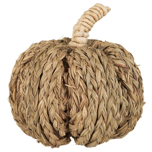  Dynia Deco pumpkin of couch grass  IB Laursen   