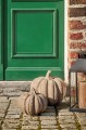 Dynia  Pumpkin standing natural raw surface  IB Laursen  fi 15