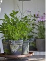 Taca Ghita -Corten Steel fi40 B Green
