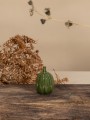 Dynia Tranhult-Small Green Storefactory