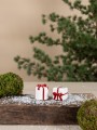 Kramhult White/Red round Decoration Storefactory