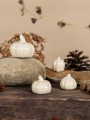 Dynia Tranebo- Large Vanillia decoration Storefactory