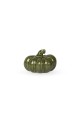 Dynia Ekasen- Green Storefactory