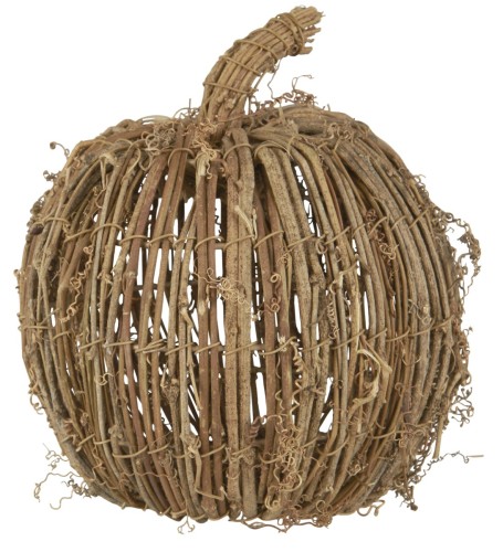  Dynia  Pumpkin  IB Laursen S