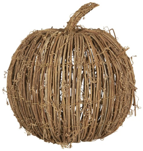 Dynia  Pumpkin  IB Laursen M