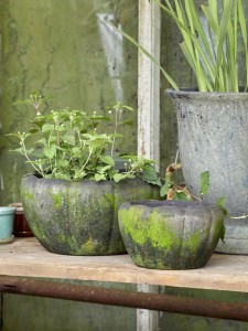 Donica Gertrud - Choko Patina  fi 31 B Green  