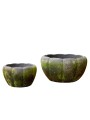Donica Gertrud - Choko Patina fi 19 B Green