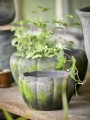 Donica Gertrud - Choko Patina fi 19 B Green