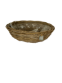IMG_1604-removebg-preview.png