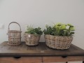 Latarenka rattanowa Lovely Baskets