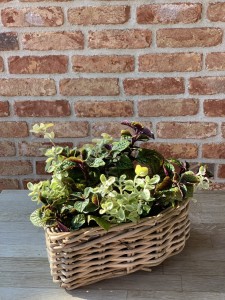 Pojemnik RR Heart Lovely Baskets S