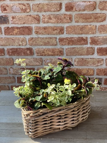 Pojemnik RR Heart Lovely Baskets S