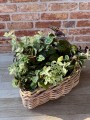 Pojemnik RR Heart Lovely Baskets S