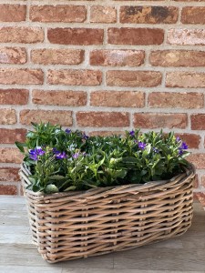 Pojemnik RR Heart Lovely Baskets M