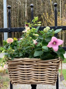 Kosz rattanowy Balcony Wide 30x18cm