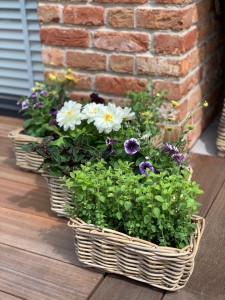 Zestaw 3 prostokątnych  koszy ratanowych 