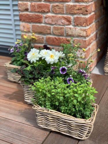 Zestaw 3 prostokątnych  koszy ratanowych 