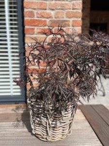 Okrągły kosz ratanowy z uchwytami L 42x42