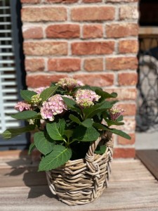 Okrągły kosz ratanowy z uchwytami M 30x29