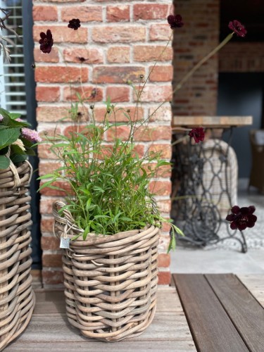 Okrągły kosz z grubego szarego ratanu z uchwytami  35x35