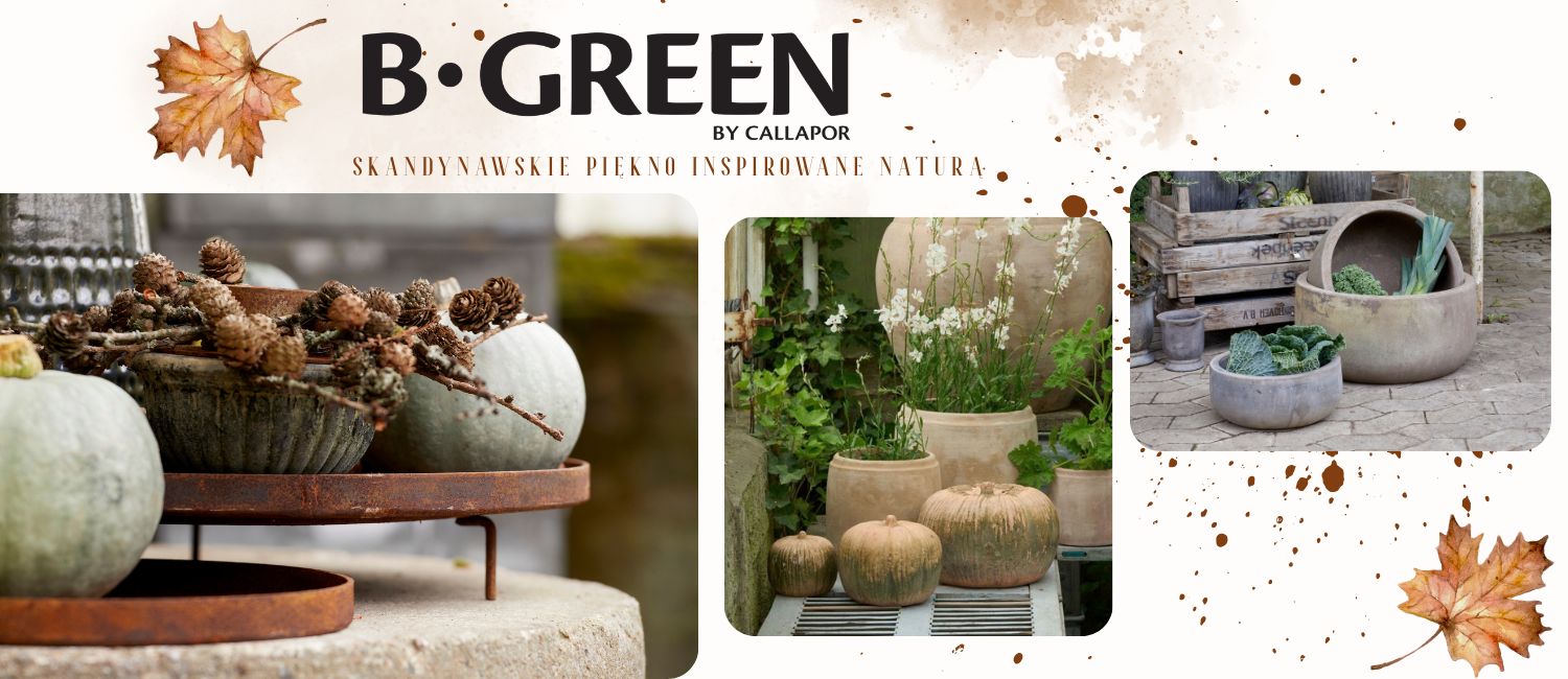 BGreen Fall26